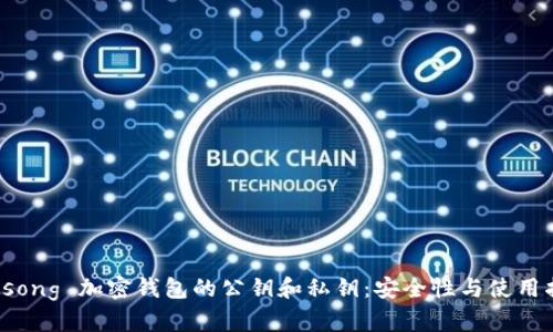  kosong 加密钱包的公钥和私钥：安全性与使用指南