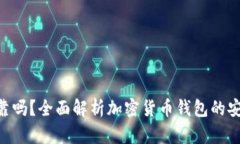 Tokenim钱包可靠吗？全面解