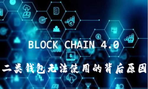 数字人民币二类钱包无法使用的背后原因与解决方案