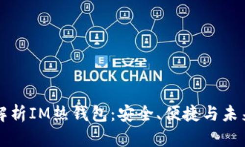 全面解析IM热钱包：安全、便捷与未来展望