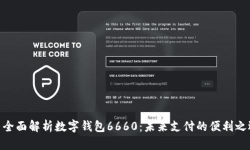 : 全面解析数字钱包6660：未来支付的便利之选