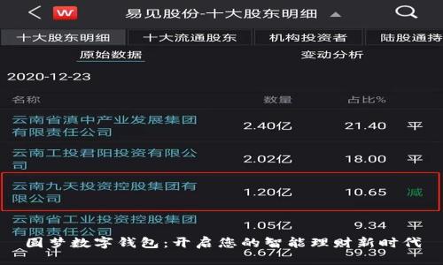 圆梦数字钱包：开启您的智能理财新时代