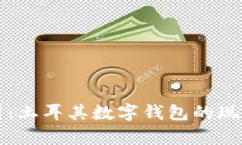 深入解析：土耳其数字钱包的现状与未来