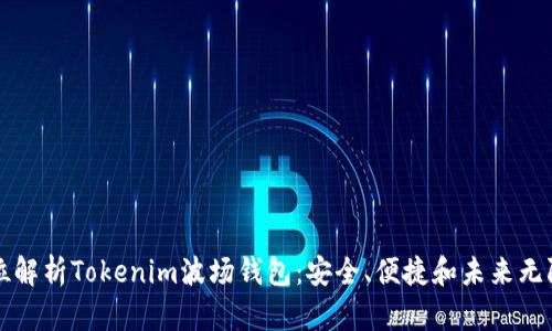 全方位解析Tokenim波场钱包：安全、便捷和未来无限可能