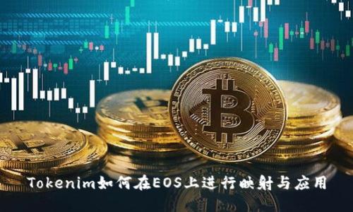 Tokenim如何在EOS上进行映射与应用
