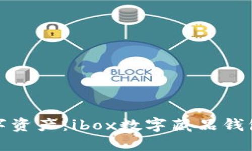 解锁您的数字资产：ibox数字藏品钱包提现全攻略