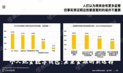 个人现金数字钱包：未来