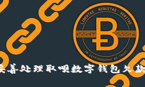 如何妥善处理取呗数字钱包欠款问题？