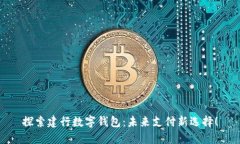 探索建行数字钱包：未来