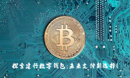 探索建行数字钱包：未来支付新选择！