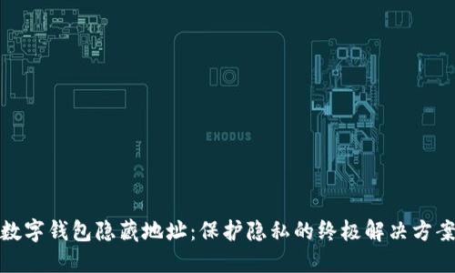 数字钱包隐藏地址：保护隐私的终极解决方案