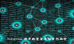 Tokenim：揭开数字货币融资