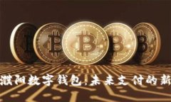 探索濮阳数字钱包：未来