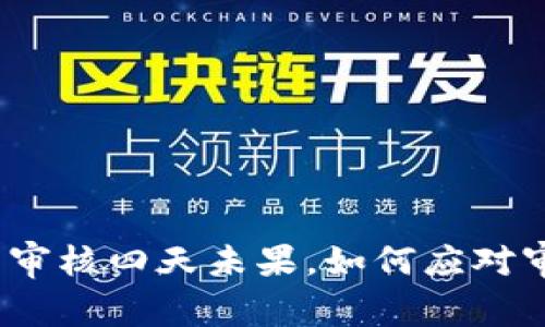 数字钱包审核四天未果，如何应对审核延迟？