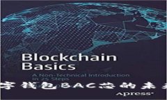 深入探讨DCEP数字钱包BAC芯