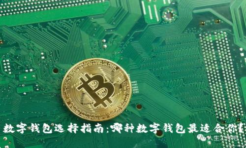数字钱包选择指南：哪种数字钱包最适合你？