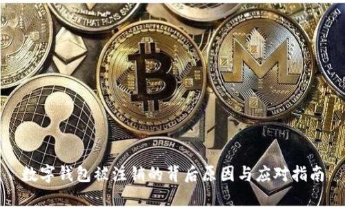 数字钱包被注销的背后原因与应对指南