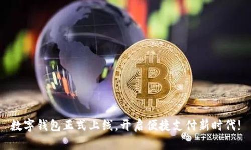 数字钱包正式上线，开启便捷支付新时代!