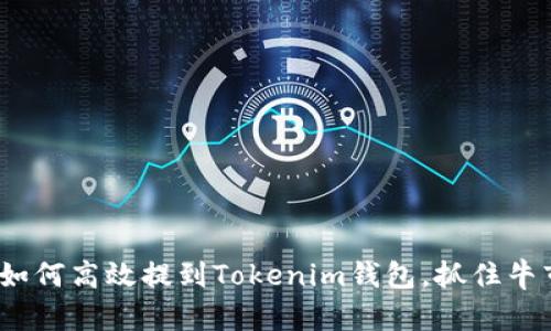 FIL币如何高效提到Tokenim钱包，抓住牛市机会