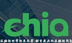区块链世界的巨无霸：探