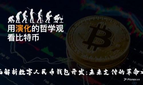 全面解析数字人民币钱包开发：未来支付的革命之路