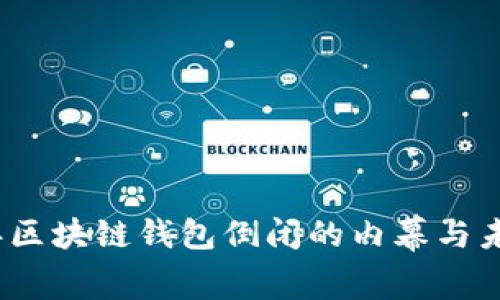 2023年区块链钱包倒闭的内幕与未来前景