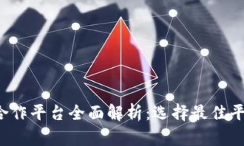  区块链钱包合作平台全面解析：选择最佳平台的关键因素