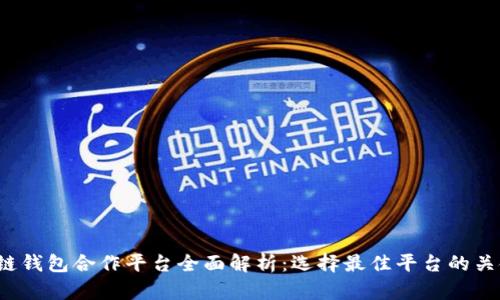  区块链钱包合作平台全面解析：选择最佳平台的关键因素