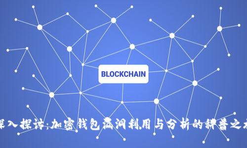 深入探讨：加密钱包漏洞利用与分析的科普之旅