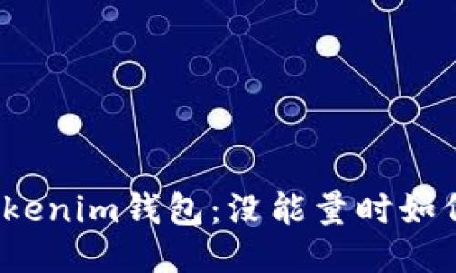 探秘Tokenim钱包：没能量时如何转账？