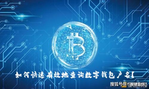 如何快速有效地查询数字钱包户名？