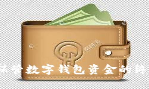 :安全保管数字钱包资金的终极指南