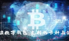 全面解读数字钱包：支持