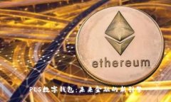 PLS数字钱包：未来金融的