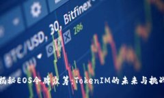 揭秘EOS令牌众筹：TokenIM的