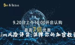 Tokenim风险评估：保障你的