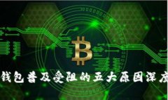 数字钱包普及受阻的五大