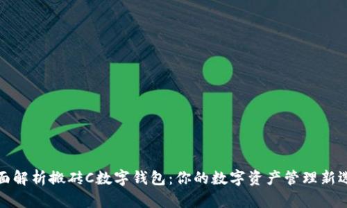全面解析搬砖C数字钱包：你的数字资产管理新选择