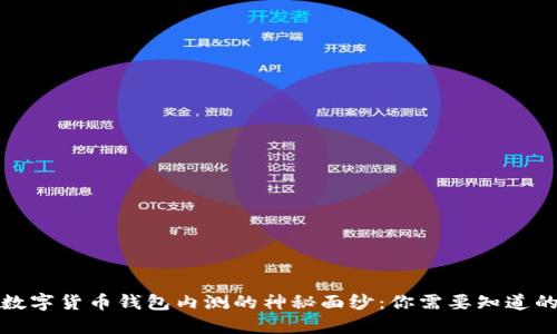 揭开数字货币钱包内测的神秘面纱：你需要知道的一切