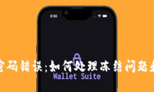 数字钱包密码错误：如何处理冻结问题和保障安全