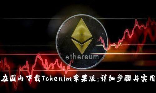 如何在国内下载Tokenim苹果版：详细步骤与实用技巧