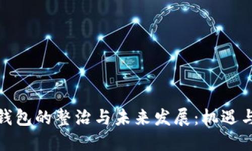 数字钱包的整治与未来发展：机遇与挑战