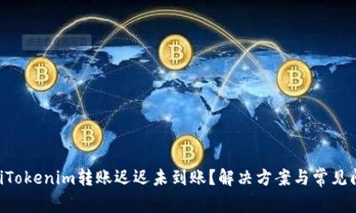 bianweiTokenim转账迟迟未到账？解决方案与常见问题详解