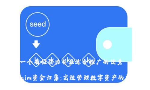 思考一个有吸引力并且适合推广的优秀

Tokenim资金归集：高效管理数字资产的新利器