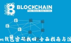 Tokenim钱包密码找回：全面