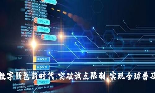 数字钱包新时代：突破试点限制，实现全球普及