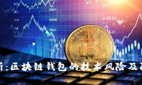 深入解析：区块链钱包的技术风险及防范策略