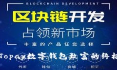 利用Topay数字钱包致富的终