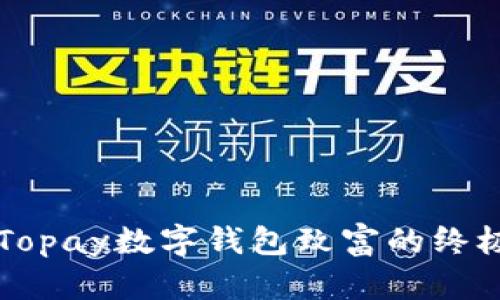 利用Topay数字钱包致富的终极指南