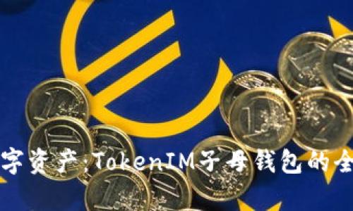 玩转数字资产：TokenIM子母钱包的全面解析